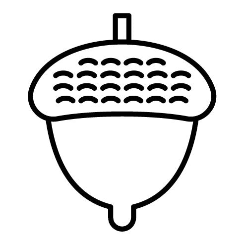 Acorn Icon