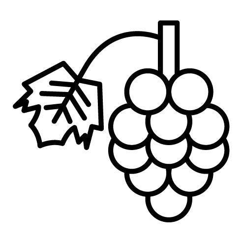 Berries Icon