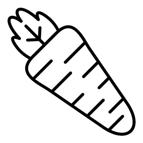 Carrot Icon