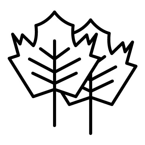 Maple Leaf Icon