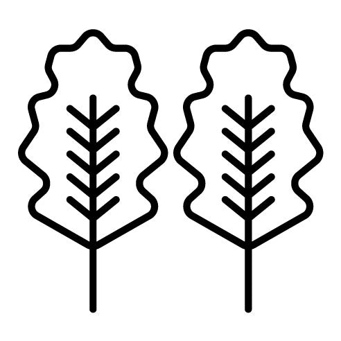 Oak Leaf Icon