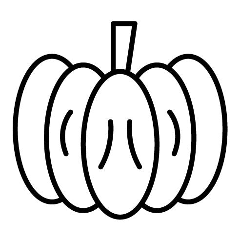 Pumpkin Icon