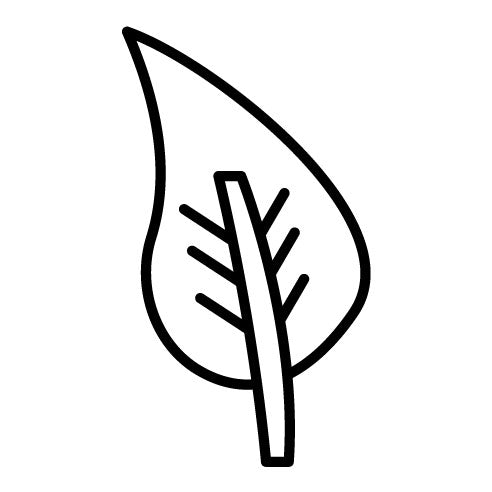 Leaf Icon