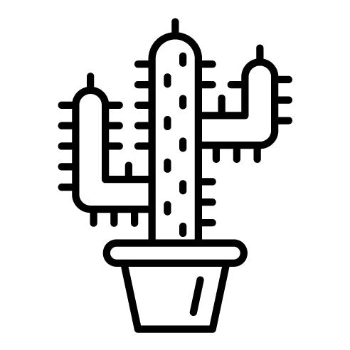 Cactus Icon | Desert