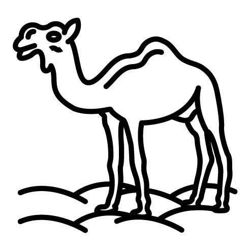 Camel Icon