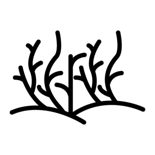 Desert Grass Glyph Icon
