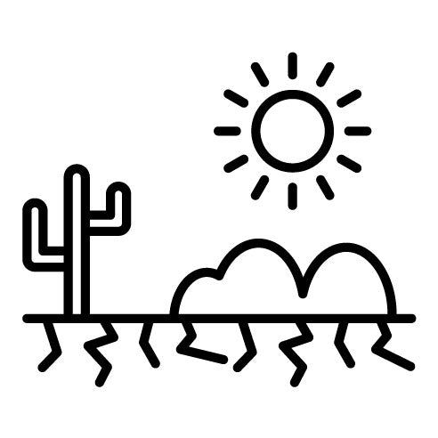 Desert Hot Weather Icon