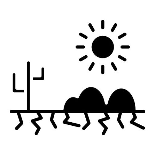 Desert Hot Weather Glyph Icon