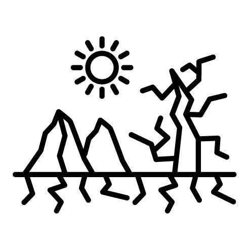 Dry Tree Icon | Desert