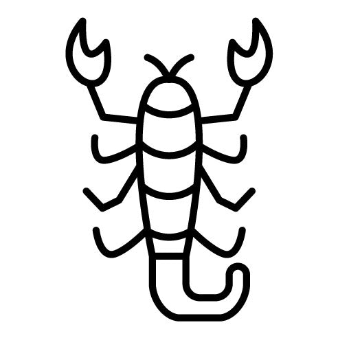 Scorpion Icon