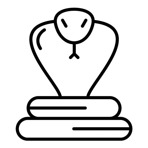 Snake Icon