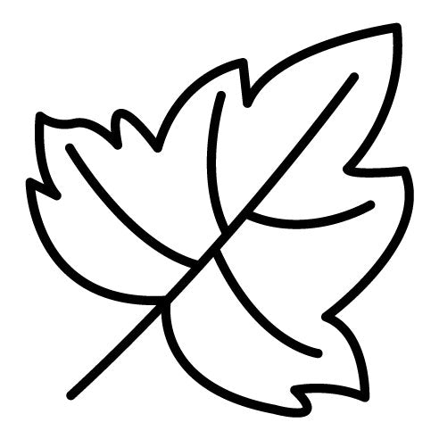 Dry Leaves Icon