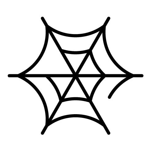 Spider Web Icon