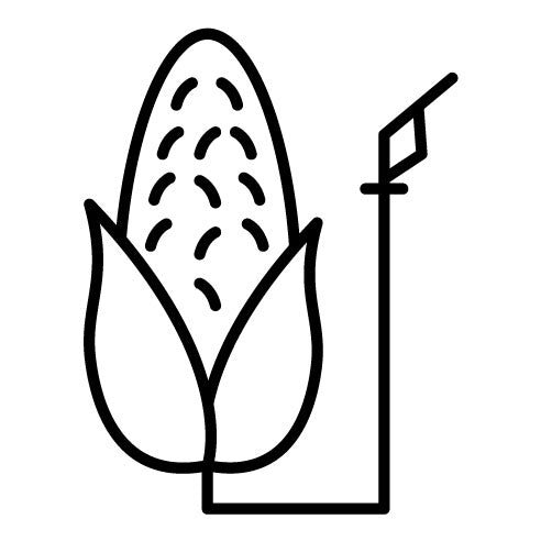 Corn Energy Icon