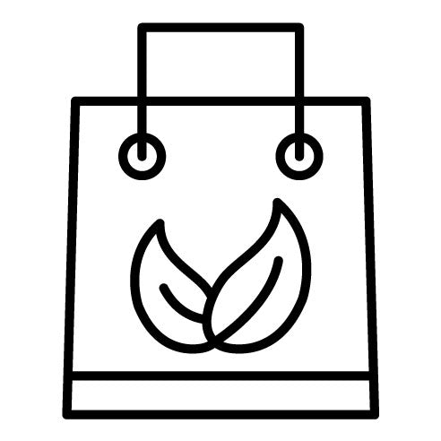 Eco Bag Icon