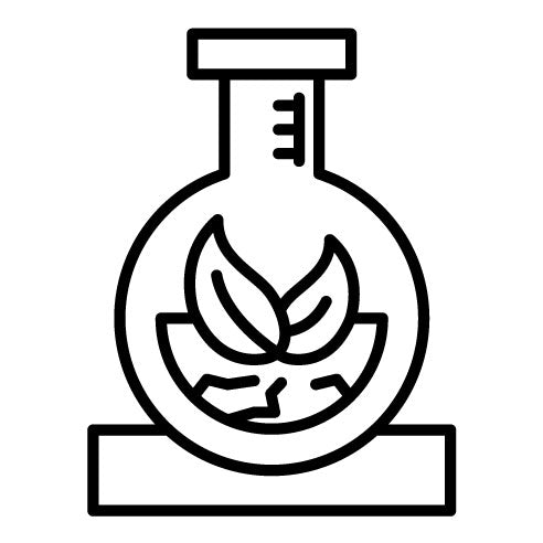 Eco Research Icon