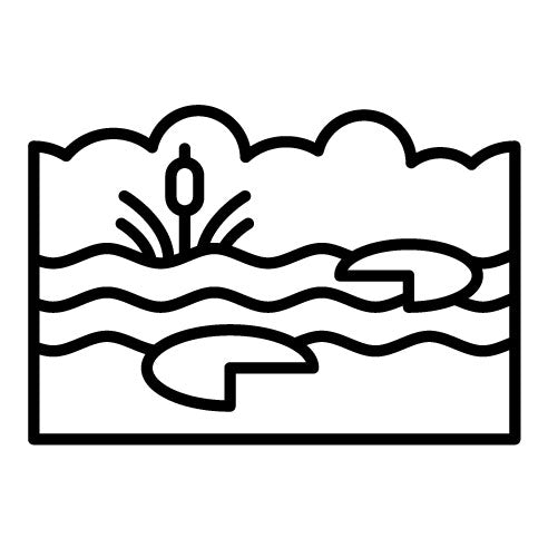 Swamp Icon