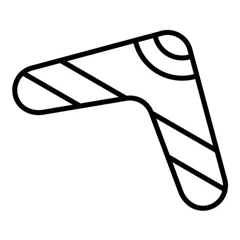 Boomerang Icon