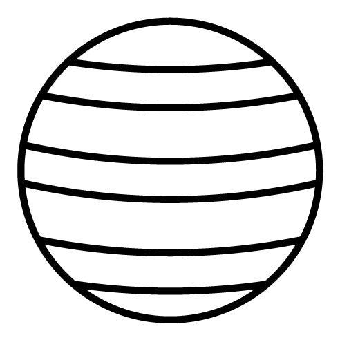 Fitball Icon