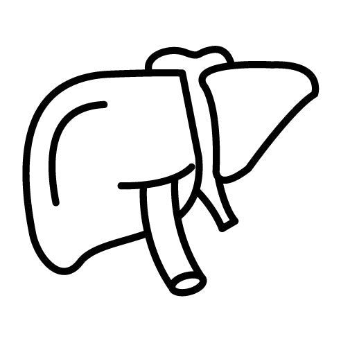 Liver Icon