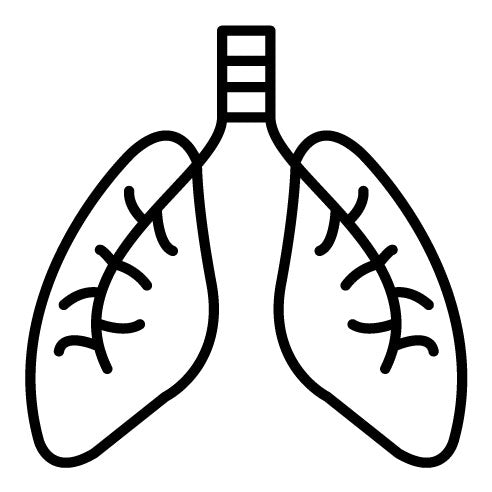 Lungs Icon