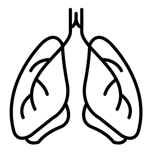 Pulmonology Icon