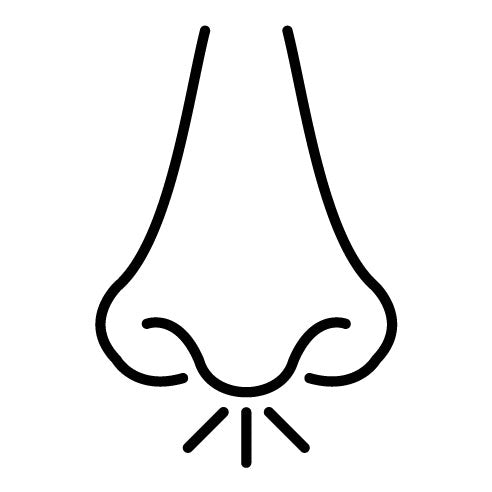 Rhinology Icon