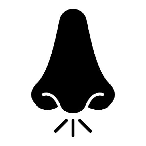 Rhinology Glyph Icon