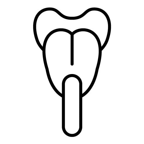 Tongue Depressor Icon