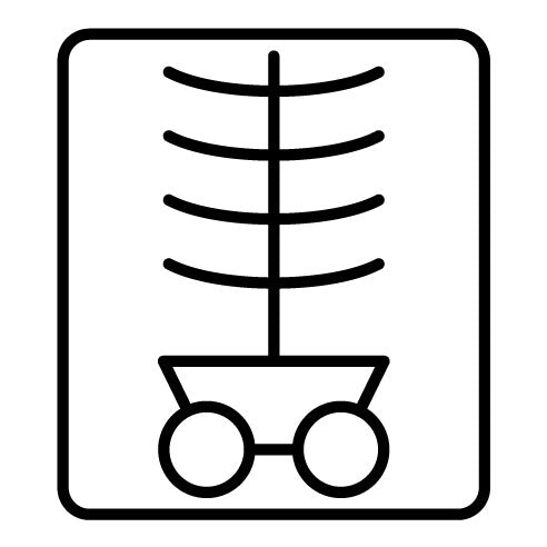 Xray Icon