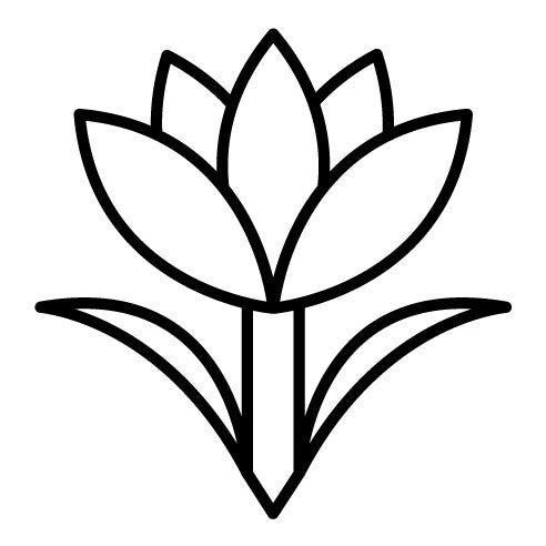 Saffron Icon