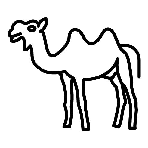 Camel Icon | Dubai