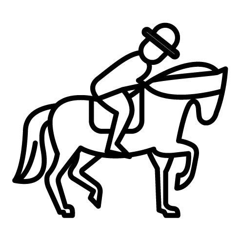 Horse Rider Icon