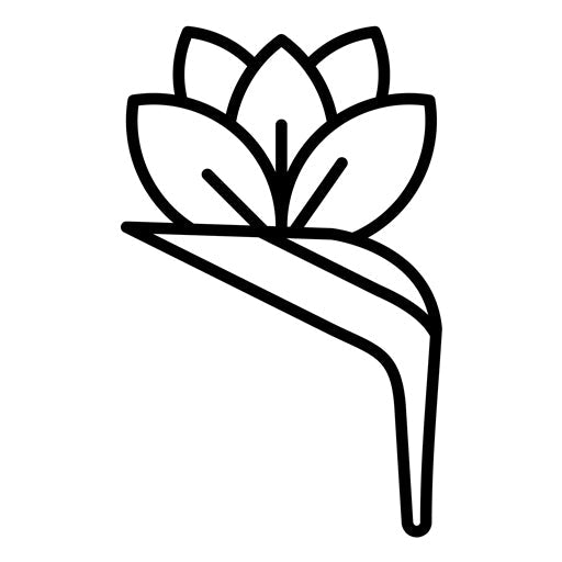 Bird Of Paradise Icon