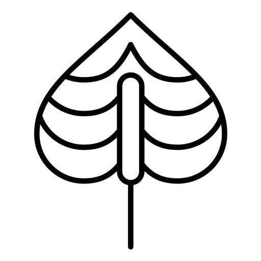 Anthurium Icon