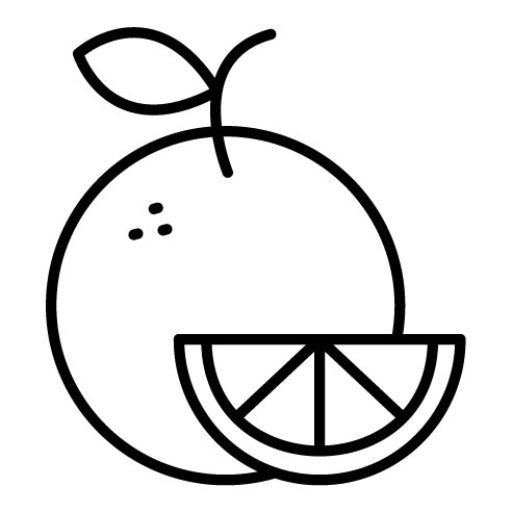Orange Icon