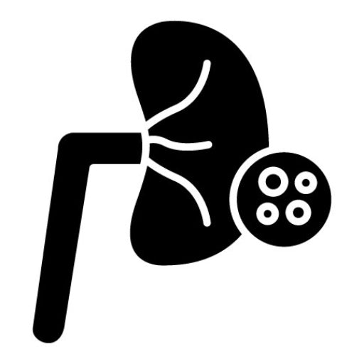 Kidney Checkup Glyph Icon