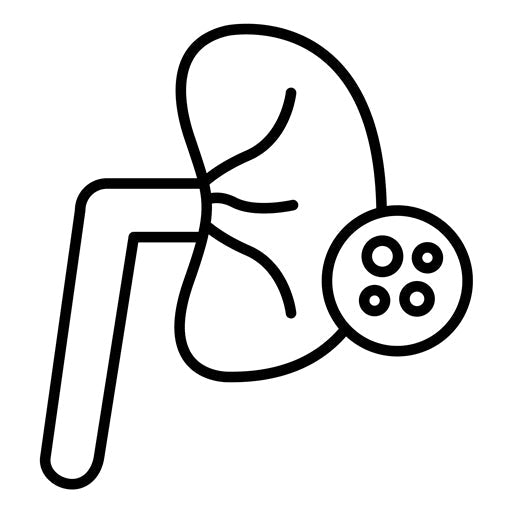 Kidney Checkup Icon