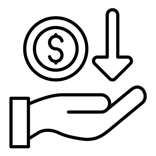 Receive Money Icon