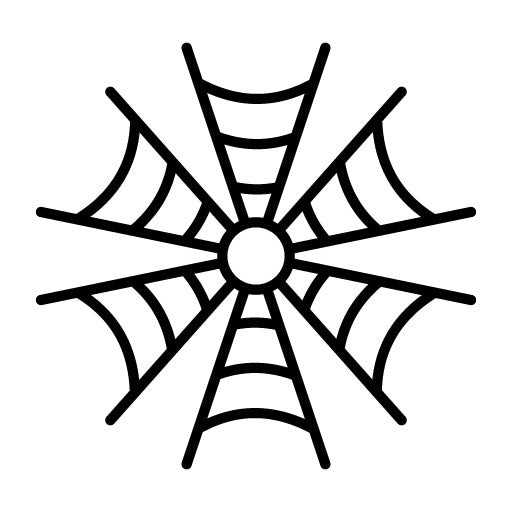 Spider Web Icon