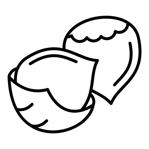 Hazelnut Icon