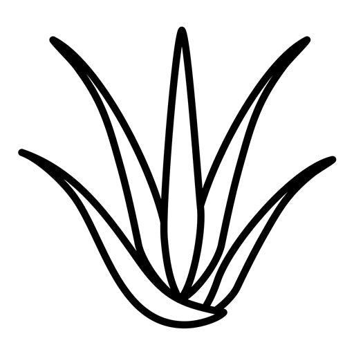 Aloevera Icon