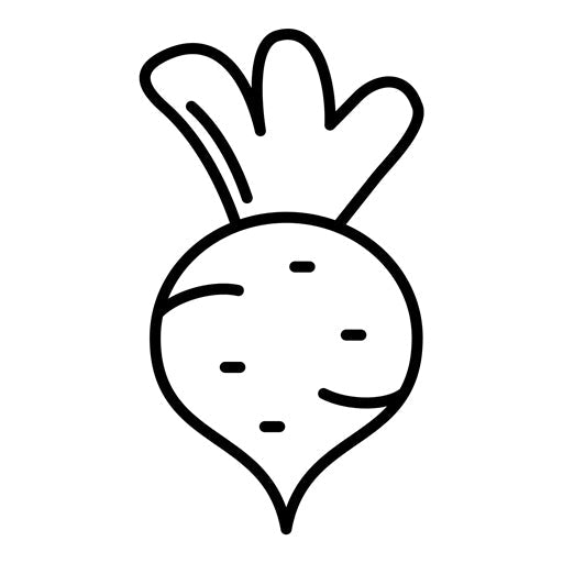 Radish Icon