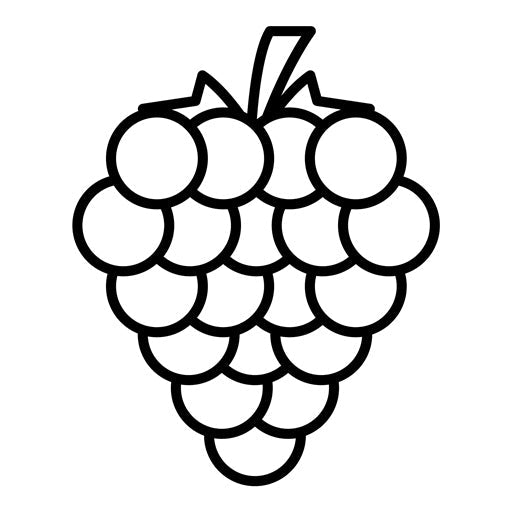 Raspberry Icon