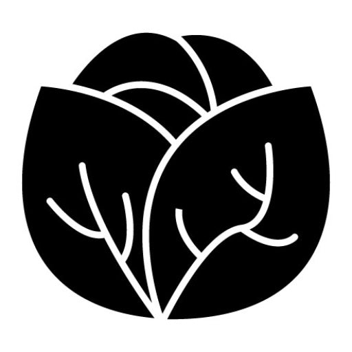Cabbage Glyph Icon