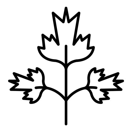 Parsley Icon