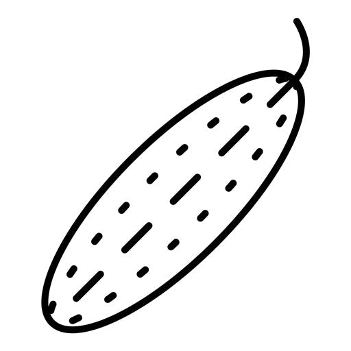 Cucumber Icon