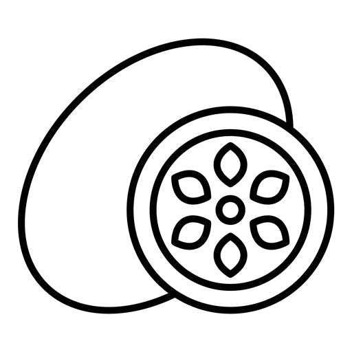 Kiwi Icon