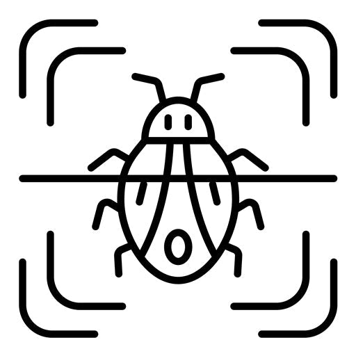 Virus Scan Icon | Security