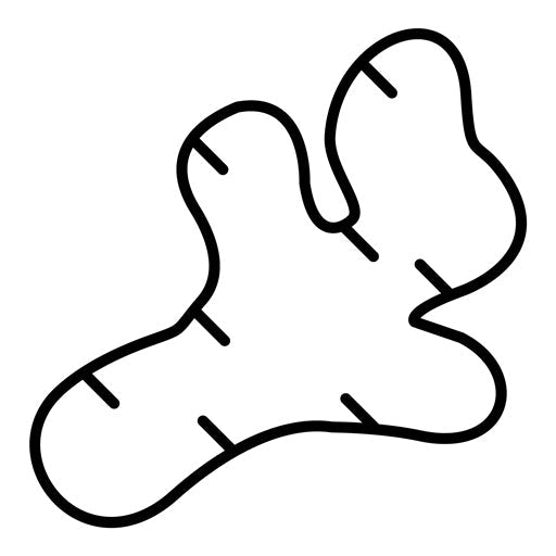 Ginger Icon